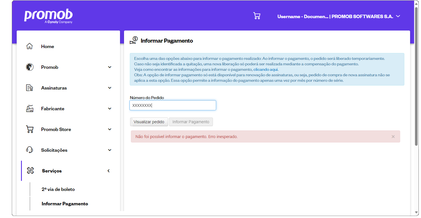 erroinesperado_informarpagamento_PT_03.png