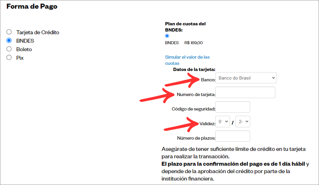 Informar Pagamento Espanhol 10_.png